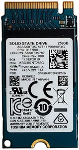 256GB M.2 PCIe 2242 SSD